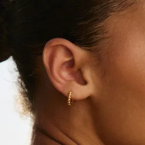Sophisticated Detail Beaded Hoops Earrings