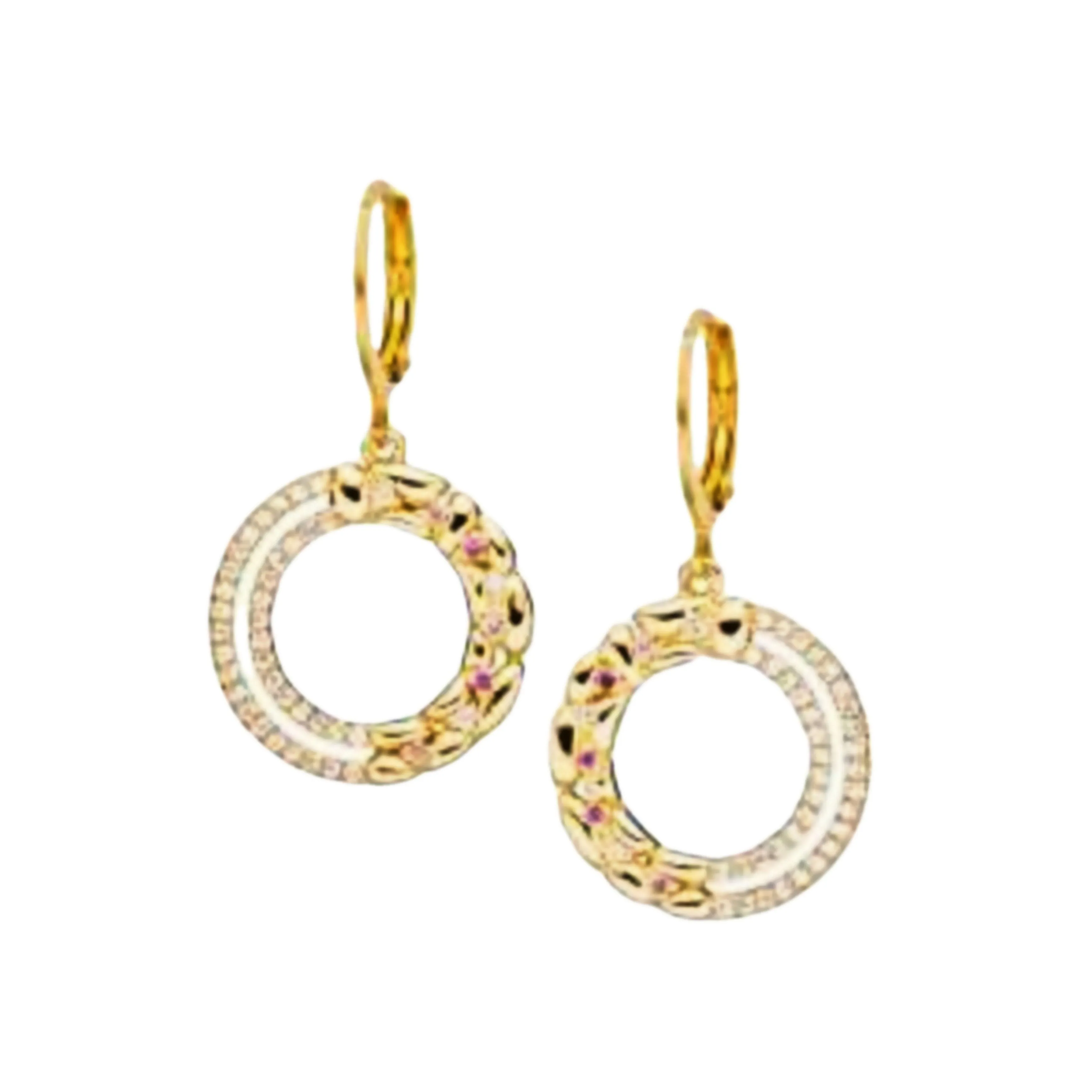 Surgical Steel Open Double Circle with CZ Earring Neutral Embellishment Winter Accent