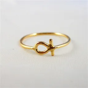 21st Century Hieroglyphic Key of Life Ring