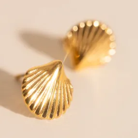 Gorgeous Element Mini Seashell Stud Earrings
