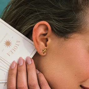 Starfish Earrings Winter Embellishment