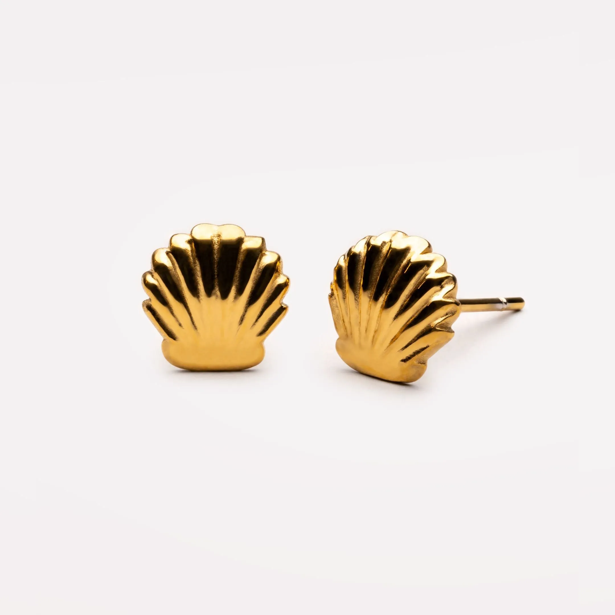 Shell Stud Earrings Splendid Jewelry