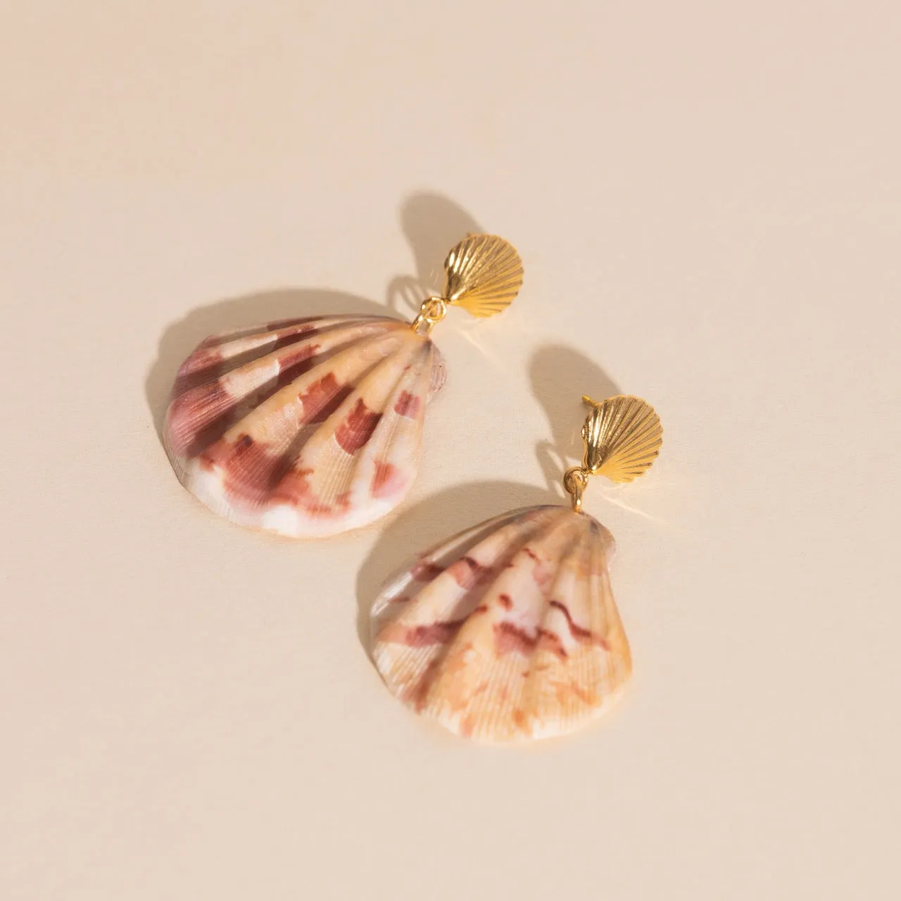 Polished Accent Seashell Dangle Stud Earrings