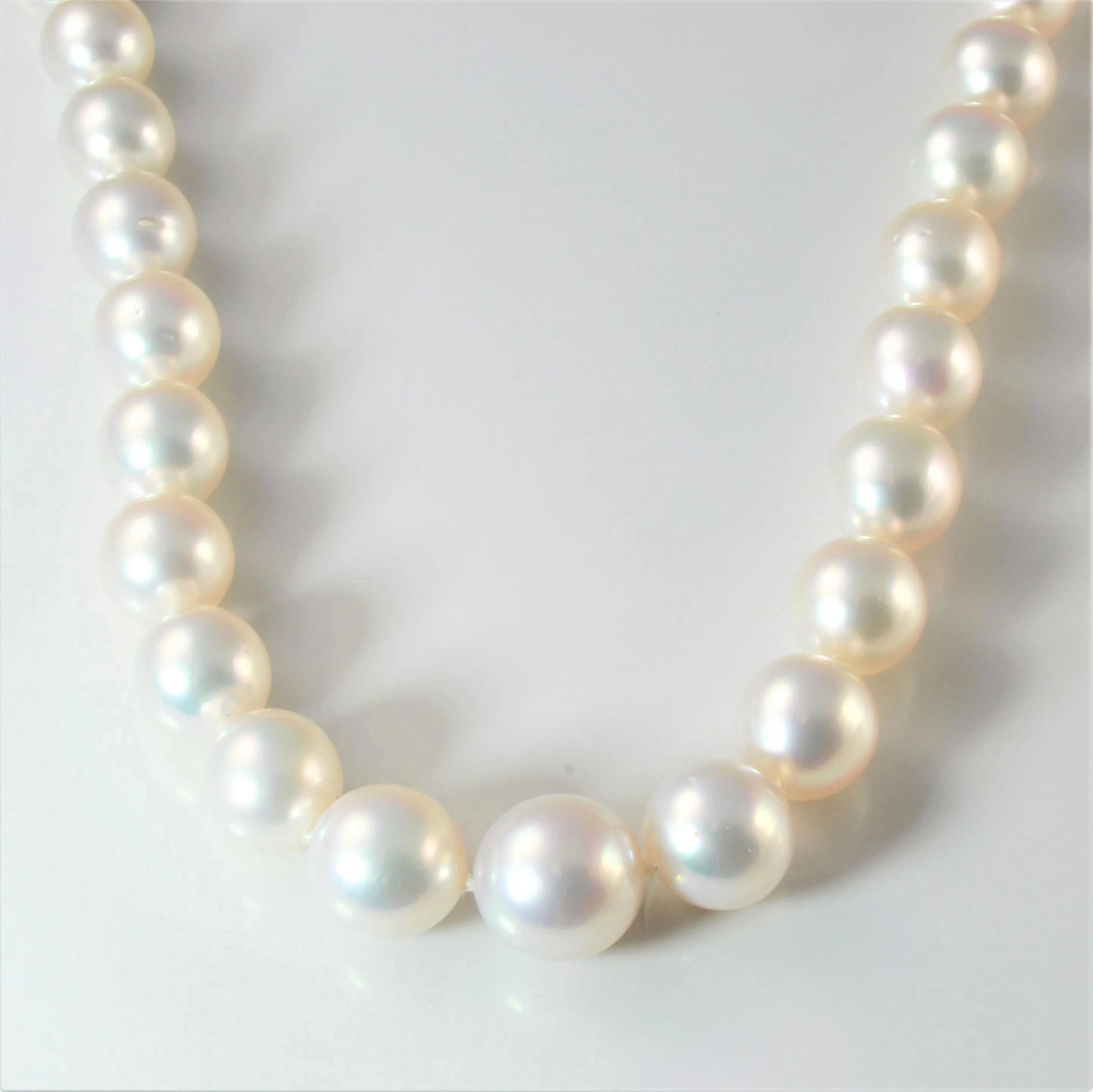 South Sea Pearl Necklace | 17" | Exclusive Detail Trendy Accessory