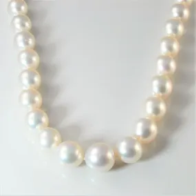 South Sea Pearl Necklace | 17" | Exclusive Detail Trendy Accessory