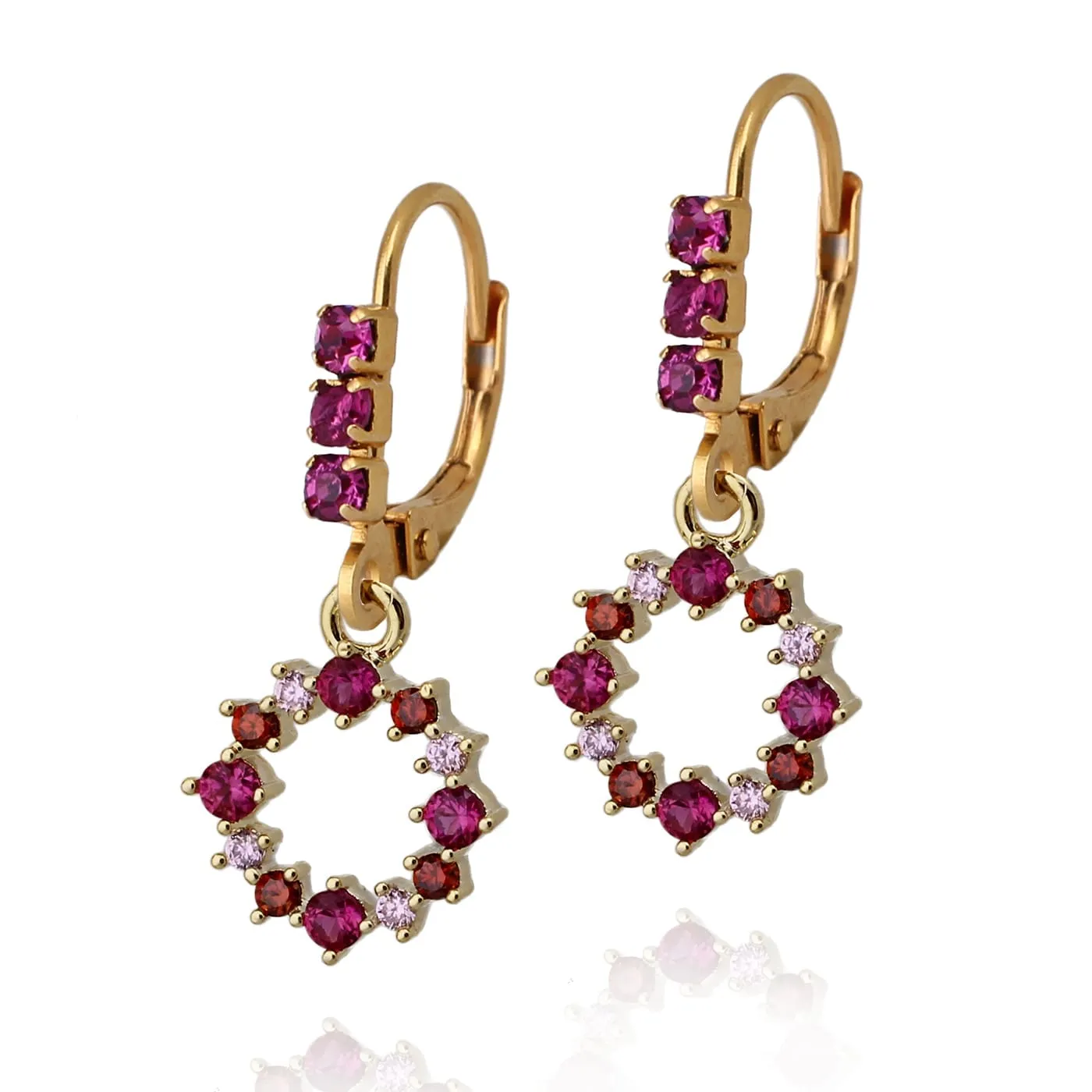 Exquisite Option Surgical Steel Circle Earrings