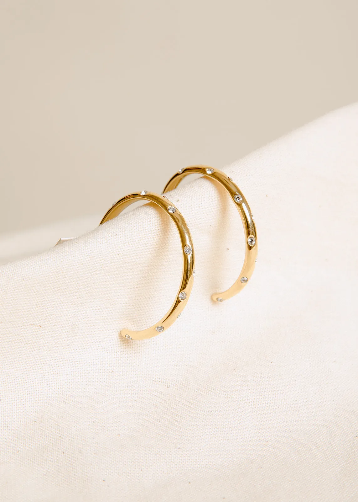 Shiny Adornment Linear Item Teagan Earrings