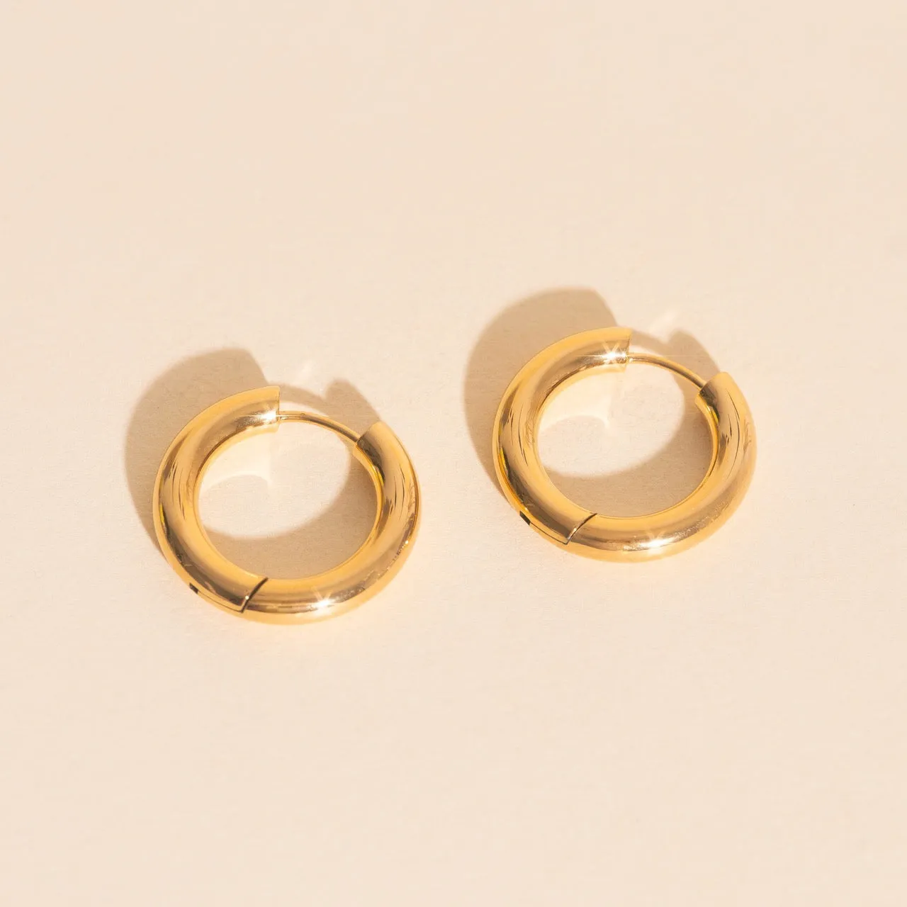 Artistic Accessory Titanium Chunky Rounded Huggie Hoop Earrings