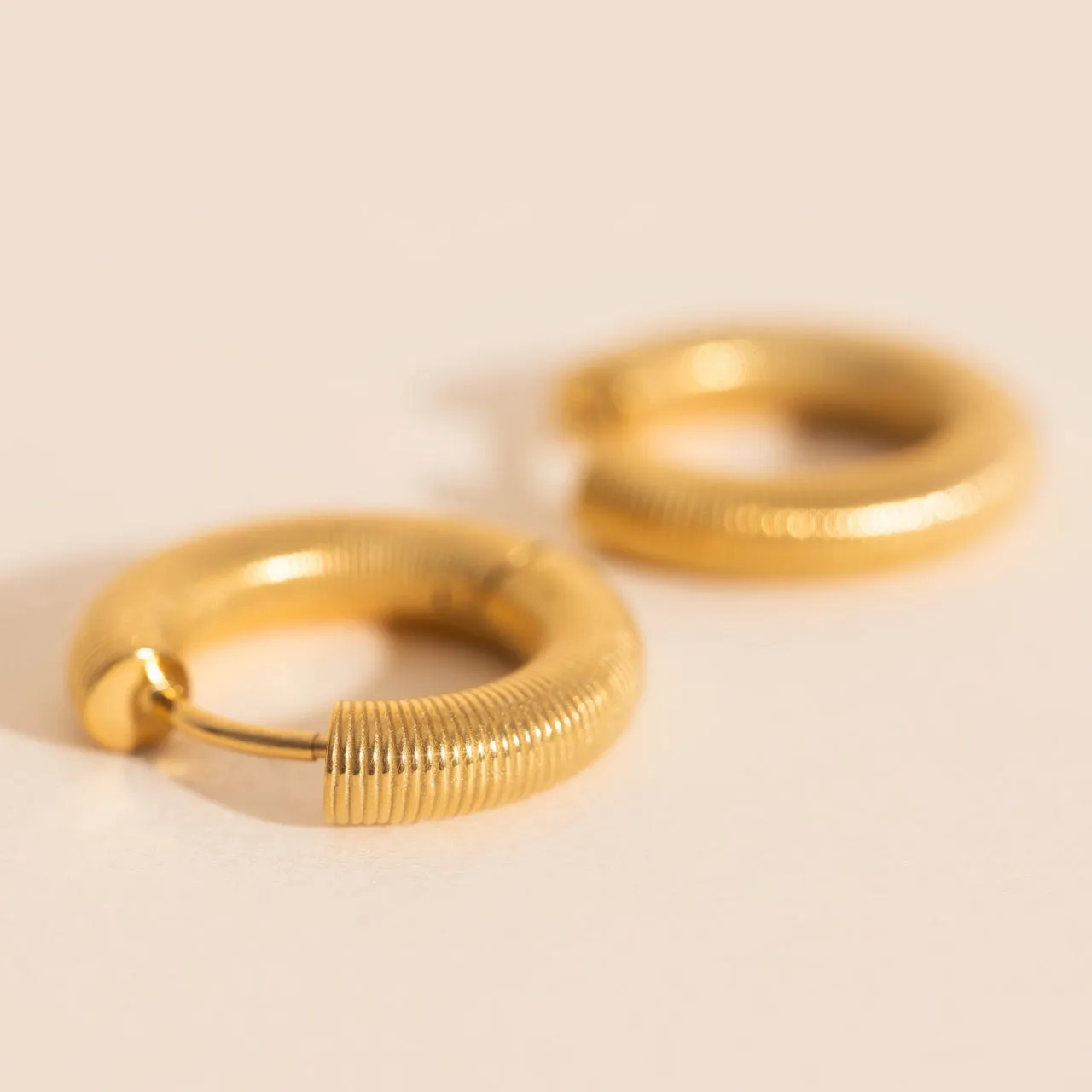 Affordable Ornament Coil Chunky Rounded Huggie Hoop Earrings